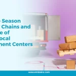 Festive Season Supply Chains and the Rise of Hyperlocal Fulfillment Centers